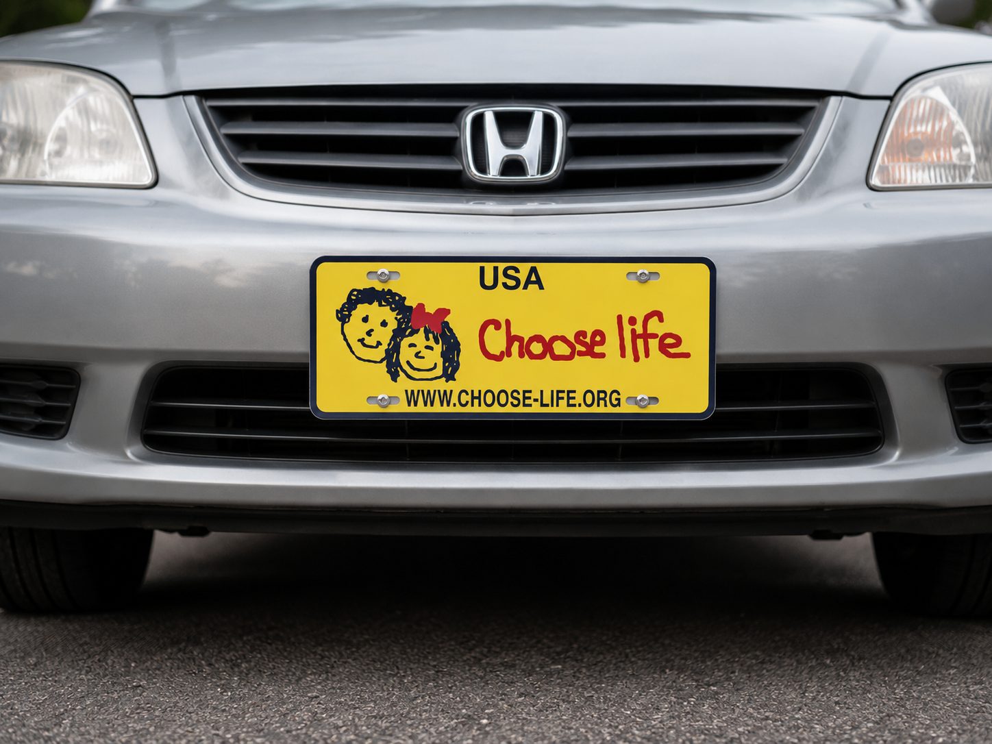 Choose Life
USA Half Plate